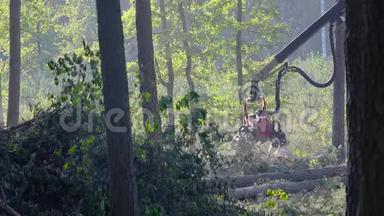 <strong>砍伐</strong>森林的现代设备，森林收割机.